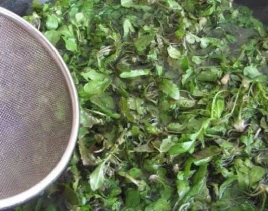 春天|春天吃饺子,我家只用这种饺子馅,比韭菜鲜,多吃也不怕胖