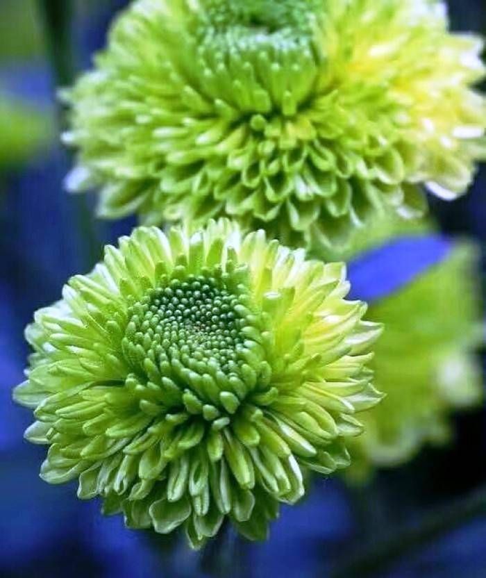 句子|深植人心的感人句子,经典而令人心碎