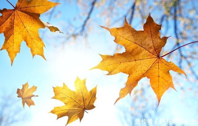 这件|这件事大包大揽,就是没原则,没底线,伤害的是自己