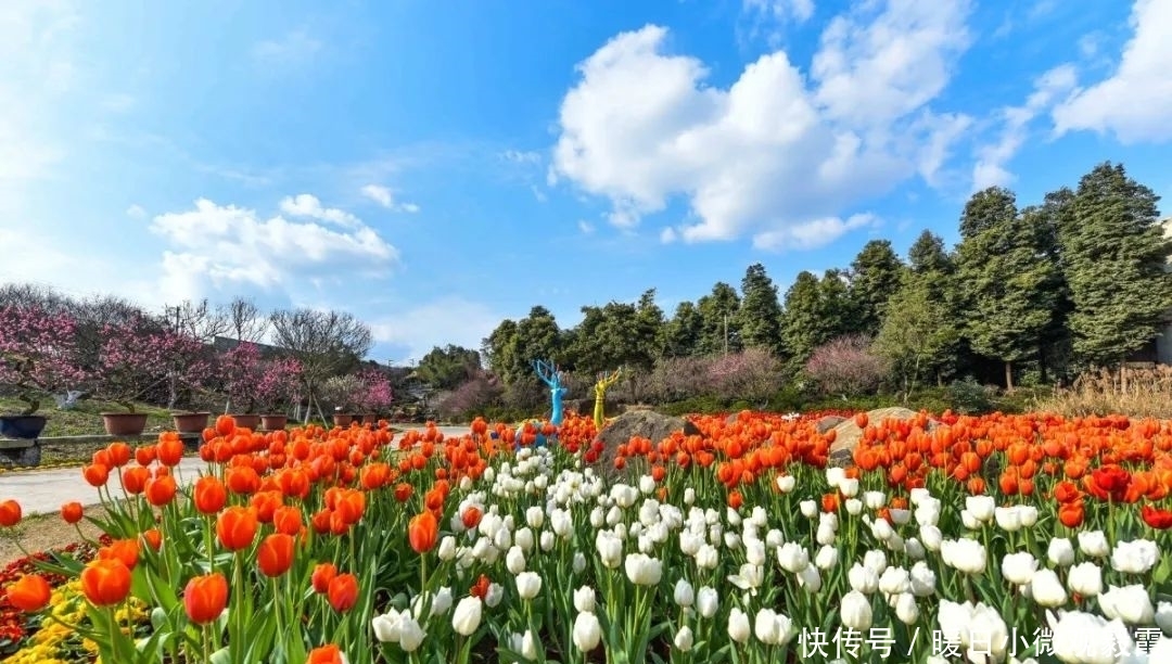  浅谈|浅谈秀丽东方IP对成都公园城市建设的借鉴作用