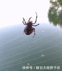 赶紧|GIF搞笑趣图: 草地上虫子多, 赶紧起来吧妹子, 我会担心的