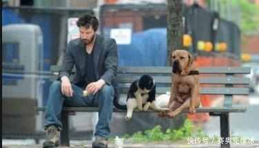 把门|为什么会有人把门设计成梯子的形状?