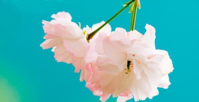 精辟|发人深省的24句人生感悟句子,精辟入骨,一生必读