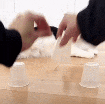 搞笑|搞笑GIF:喵星人:主人,你是不是傻?再挖我就被埋了