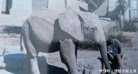  德云社|搞笑背后是心酸！德云社孙越讲述自己肥胖原因，于谦听完都难过了