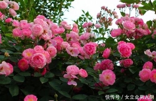 日子|9月下旬,事业运大旺,4属相春风得意,日子越过越幸福美满