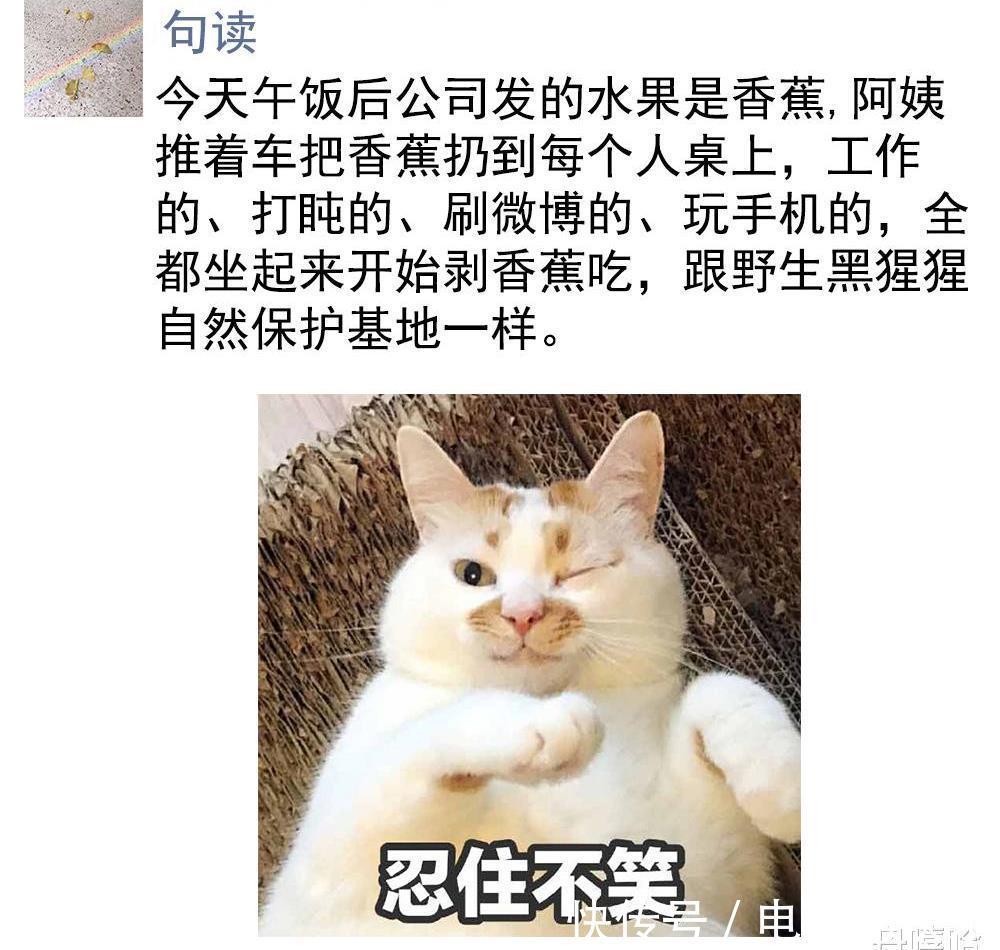  随便|好笑的段子一大把，随便一抓笑到傻！