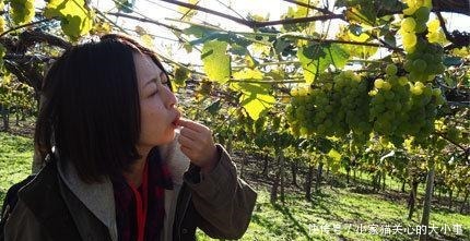 北海道|用美食来记忆一个季节,日本北海道的秋之味觉