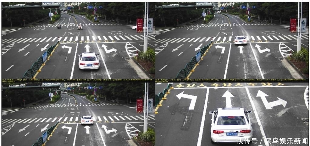 紫金|囿山路、紫金路、人民街、中山街……这些行为被曝光