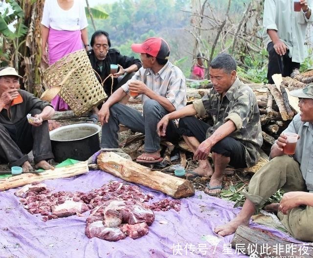 到底|印度，到底让不让吃牛肉？｜地球知识局