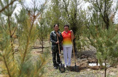  毛乌素地区|中国四大沙漠之一的“毛乌素沙漠”是怎么消失的