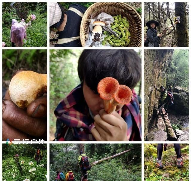 攻略|无深度不云南——丽江巴拉神山徒步穿越攻略