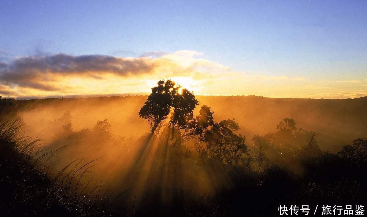  森林|世界“最贵”最难进的公园, 门票近万元仍一票难求, 公园竟在非洲!