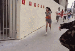发现|搞笑GIF：发现一个很皮的大象