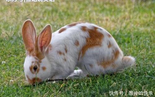  男子|公交车上，两男子对骂，旁边一个男的说了句话，被俩男子暴打