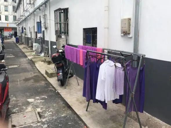 整改前|文明创建曝光台丨又有哪些不文明行为被曝光