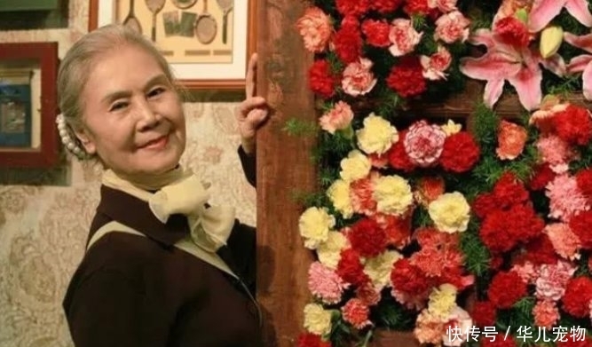 有钱|心理学:第一眼你觉得哪个老太太有钱?测你是平凡人还是人上人!