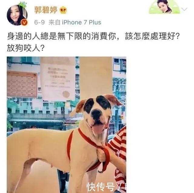 奚梦瑶|同样是“闪婚”豪门,奚梦瑶与郭碧婷谁才是“嫁”给了爱情?