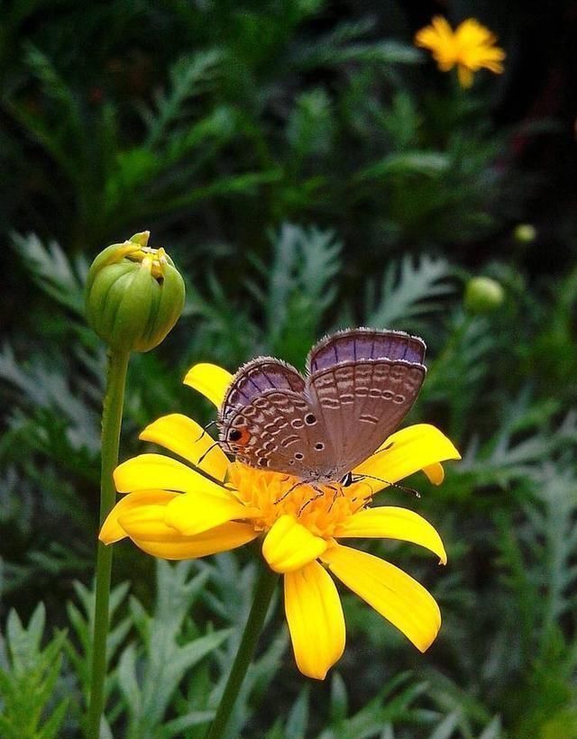 逼格|手机摄影7个高级拍摄技巧,手机一样可以拍出高逼格照片