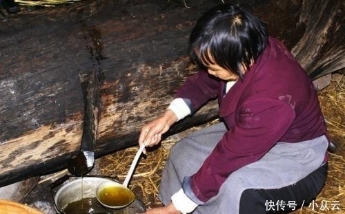 茶果|这种“油果子”,烂在地上的也有人要,碾压打磨,成品上百元一斤