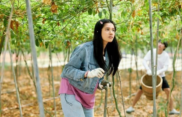 向往|《向往4》正式开播,周迅全程素颜出镜,何炅节目现场飙