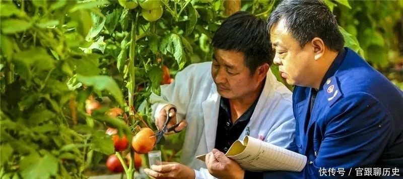 伪劣复合肥|执法《5万吨“假复合肥”伪装成49个品牌流入市场,涉案金额达8000万元!》