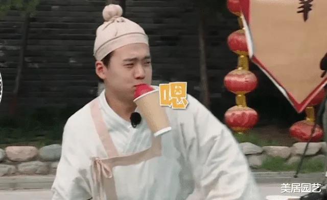 流量|一人就顶沙溢加郭麒麟,承担收视率却黯然退场,无流量明星的悲哀