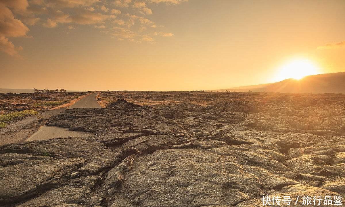  森林|世界“最贵”最难进的公园, 门票近万元仍一票难求, 公园竟在非洲!