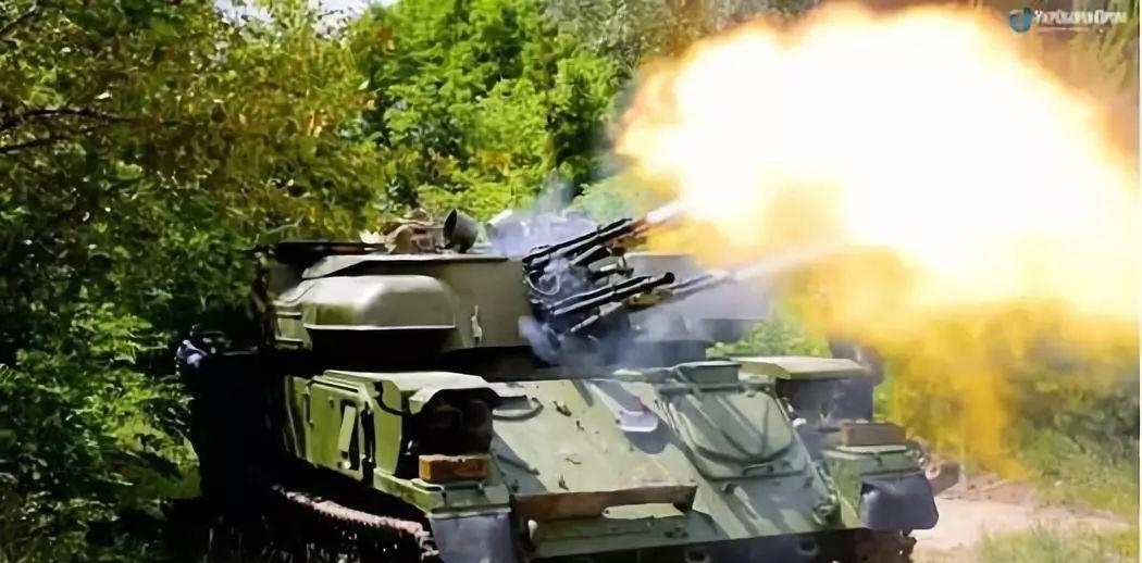 暴力|暴力突袭: 1979年苏军刺杀阿富汗总统行动始末