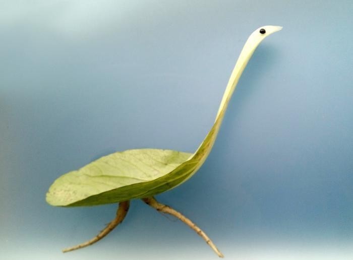 熊猫|丝瓜熊猫、菜叶鸵鸟……男子用蔬菜创造“动物世界”