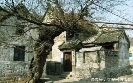 栽桑|农村老话为什么说前不栽桑 , 后不栽柳 , 院中不栽鬼拍手