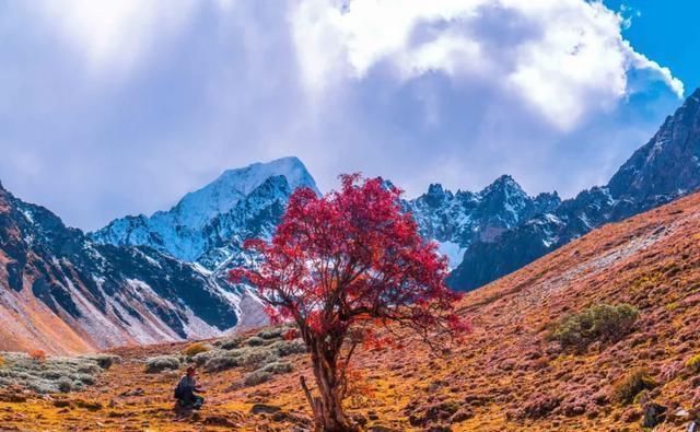 雨崩|近年大热的梅里北坡徒步,你可知它不止一条坡均小环线