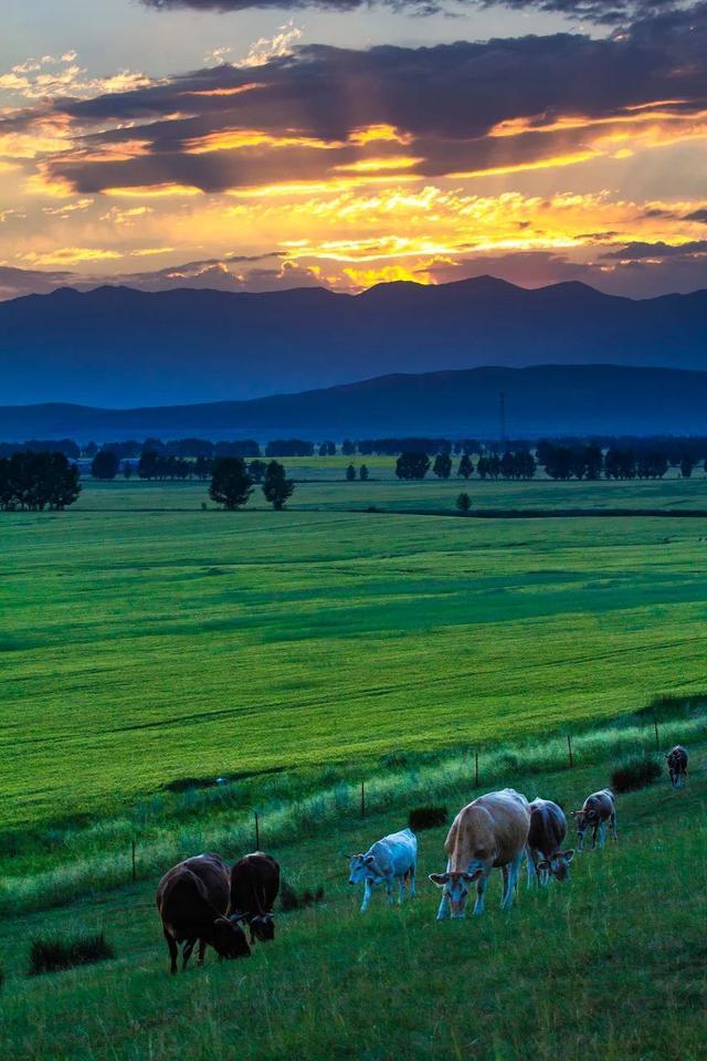 自驾|憋疯了!15条醉美新疆自驾线,正适合七八月挑一条出发!