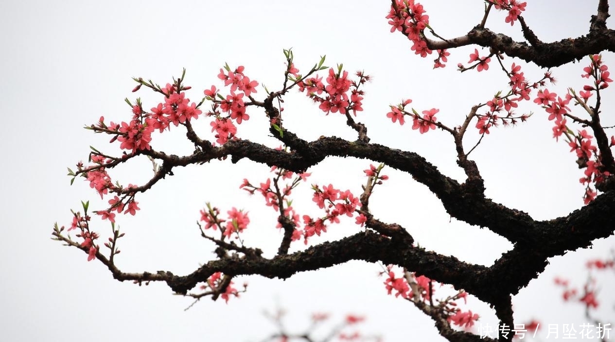  逆风|不要着急结婚的几星座，遇到真爱不放手，逆风翻盘收获美好姻缘