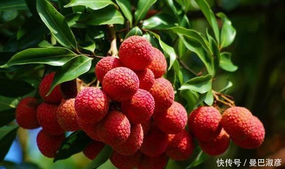  能给|4类食物少给不到六岁的孩子吃，影响智商还不长个，家长别忽略