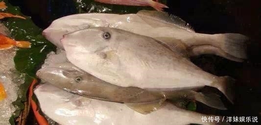 海鲜|海鲜大全, 你能认出多少