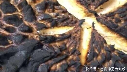 开心|男子把“榴莲”挂在灶上烤,家人大骂他,没想到烤好后开心坏了!