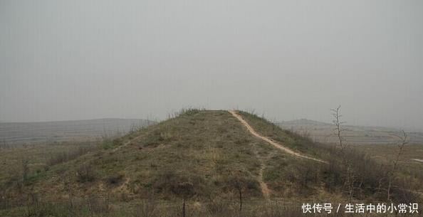  青铜器|三官甸子陵墓出土“诡异”青铜器，它的名字叫“蛇蛙马当卢”！