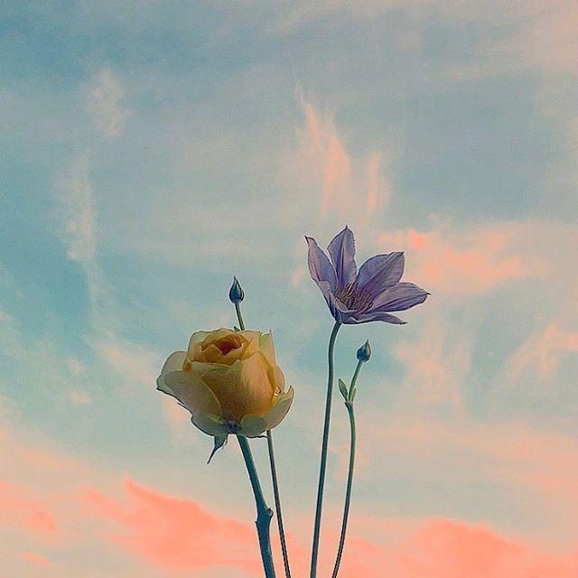 看完|乐观积极向上的唯美句子,看完让人醍醐灌顶!