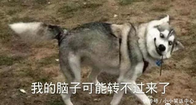 手机|“求大家帮我儿子取个名吧!”网上取名被网友评论笑到窒息哈哈