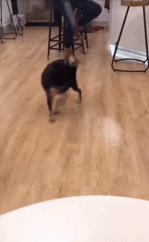 打开|以为女友家只是一般富裕,直到打开他爸的U盘...我懵了,哈哈哈