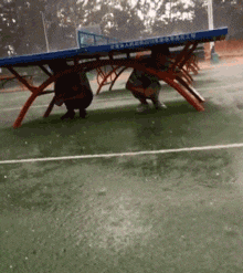  天天|搞笑GIF：我家的电线天天被当成秋千！