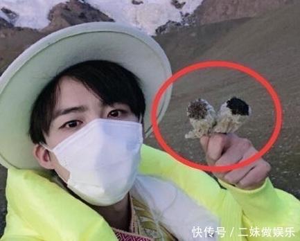 曝光|真相曝光!《极限挑战》刘宇宁摘雪莲花是二级保护植物,评论翻车