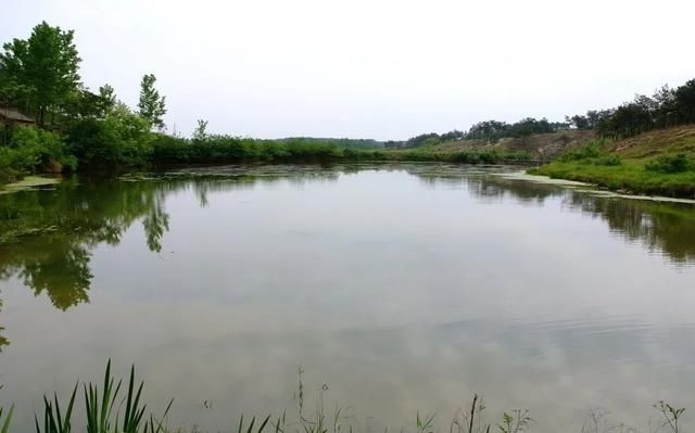 王某|一少妇被情人残杀抛尸，18年后嫌犯落网起因曝光