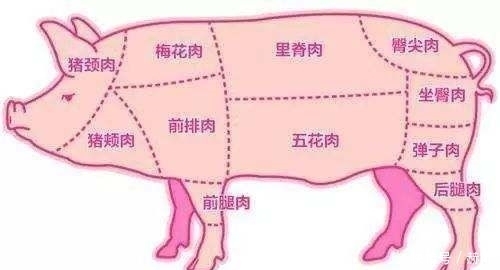 买猪肉时，有经验人只挑这4种肉，质量好，小贩见了不敢不糊弄你