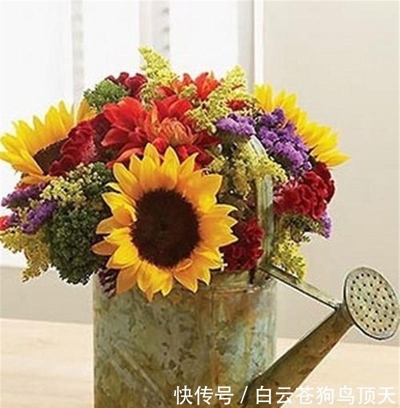 爱情|八月份的天蝎座,追随爱的方向,必将迎来希望