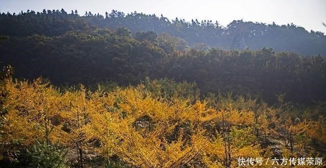  值得|青海最值得一游的12个县，每一处都让你流连忘返，海北3县入选