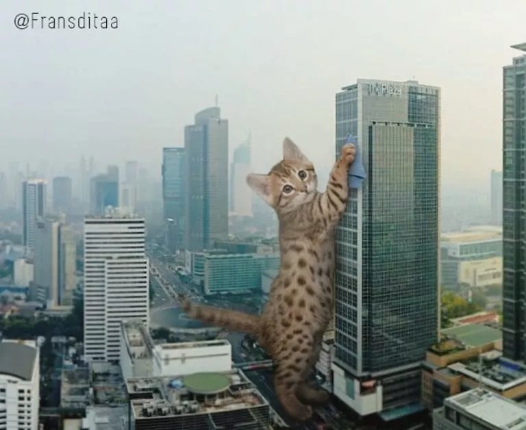  哥斯拉|要是小猫咪突然变成了庞然大物，这个世界会是什么样的