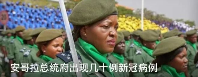  主谋|安哥拉买凶杀人案，主谋是亲属