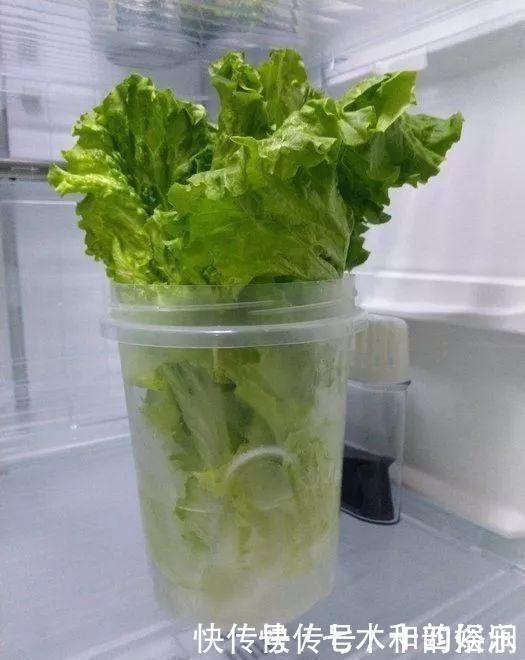 方式|生活方式│岛国中产一家5口天天吃大餐,一个月只花2000人民币